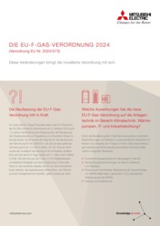 Titelbild des Factsheets zur EU-F-Gas-Verordnung 2024