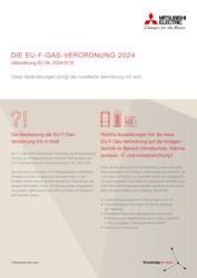 Titelbild des Factsheets zur EU-F-Gas-Verordnung 2024