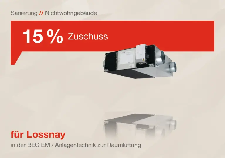 Abbildung BEG Zuschüsse Produktbereiche 04