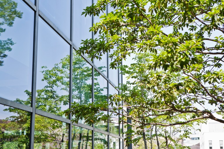 Photo d'un arbre devant un immeuble de bureaux