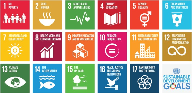 18 SDG afgebeeld 
